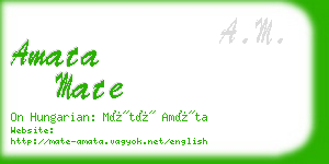 amata mate business card